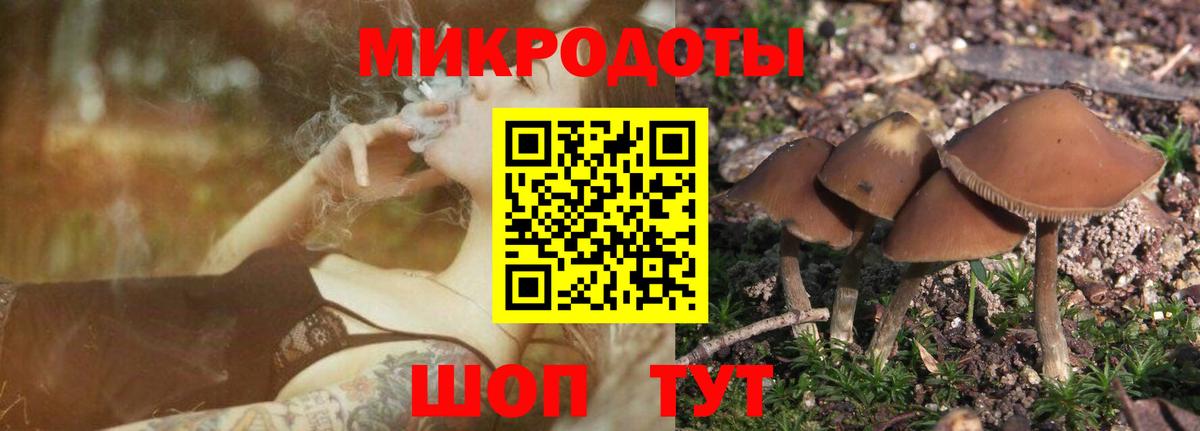 Псилоцибиновые грибы GOLDEN TEACHER  Псилоцибиновые грибы ЛСД  Советский  Вход с VPN 